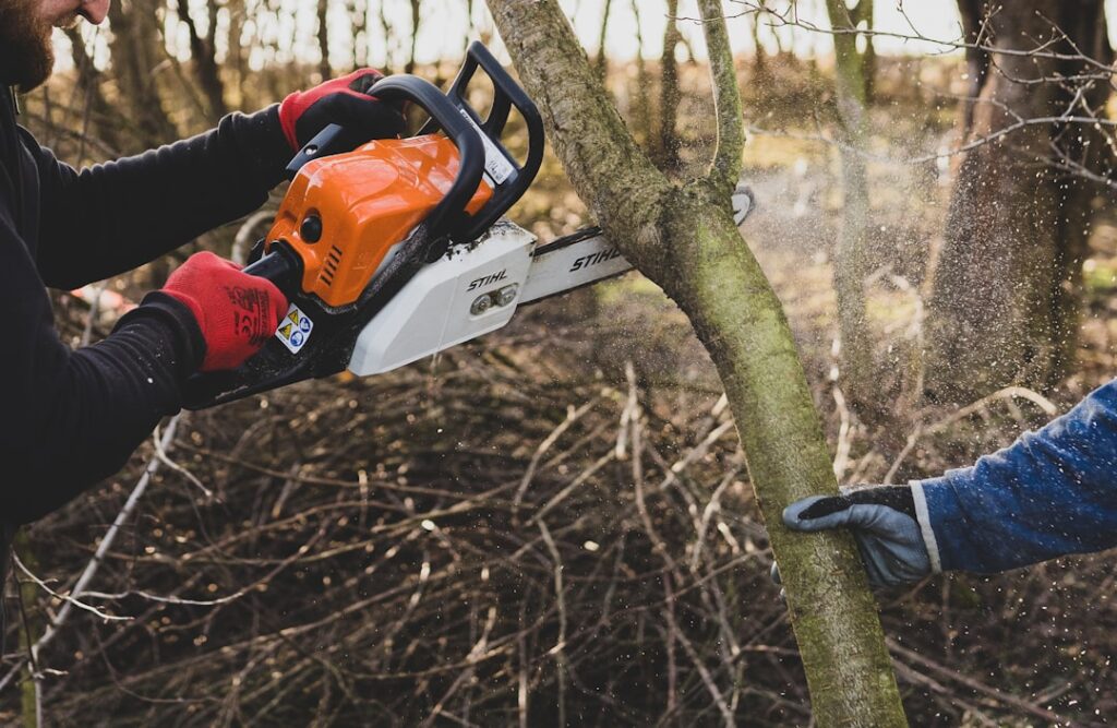 An arborist carefully trimming branches from a large shade tree in a residential backyard during early spring.