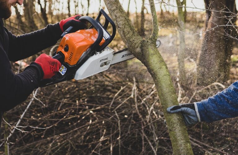 An arborist carefully trimming branches from a large shade tree in a residential backyard during early spring.