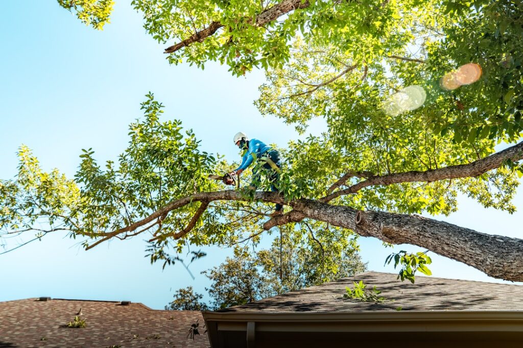 A person closely examining the base of a large tree in a residential yard with a clipboard.