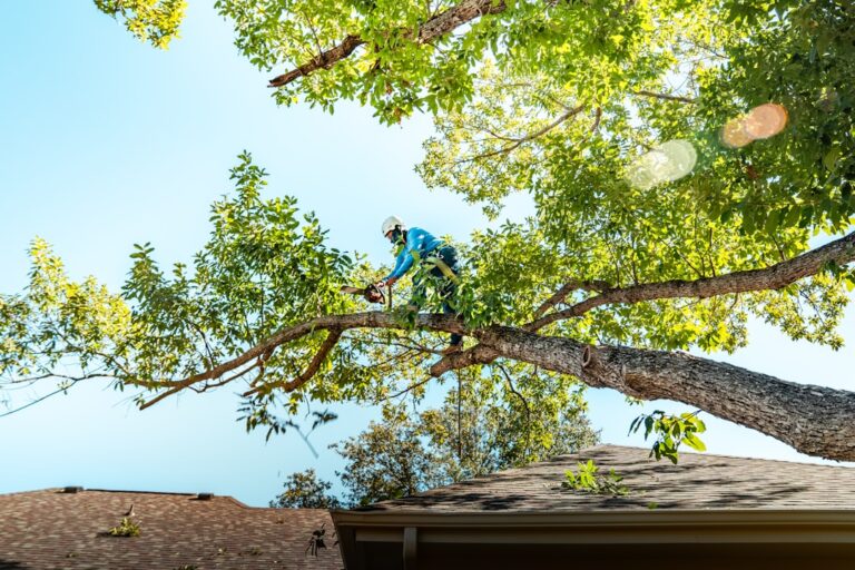A person closely examining the base of a large tree in a residential yard with a clipboard.