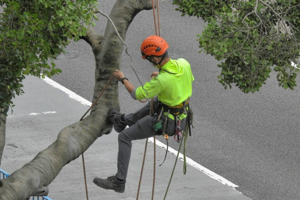 An arborist examines a large tree beside a wooded shoreline while reviewing a property plan.